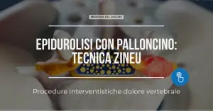 tecnica zineu